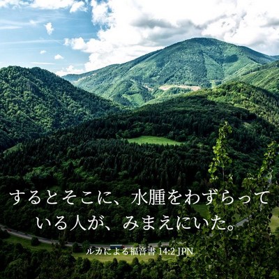 Picture 03 - ルカによる福音書 14:2 JPN - するとそこに、水腫をわずらってい - Bible Verse Picture