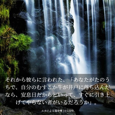 Picture 03 - ルカによる福音書 14:5 JPN - それから彼らに言われた、「あなた - Bible Verse Picture