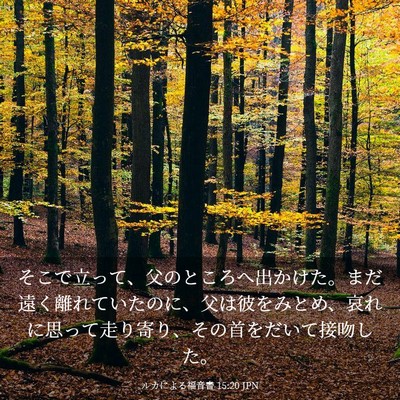 Picture 03 - ルカによる福音書 15:20 JPN - そこで立って、父のところへ出かけ - Bible Verse Picture