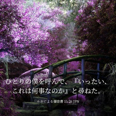 Picture 03 - ルカによる福音書 15:26 JPN - ひとりの僕を呼んで、『いったい、 - Bible Verse Picture