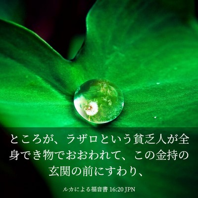 Picture 03 - ルカによる福音書 16:20 JPN - ところが、ラザロという貧乏人が全 - Bible Verse Picture
