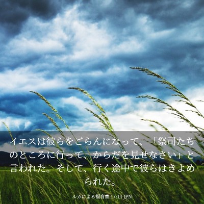 Picture 03 - ルカによる福音書 17:14 JPN - イエスは彼らをごらんになって、「 - Bible Verse Picture