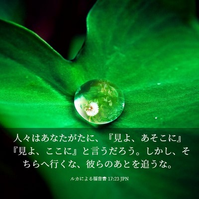 Picture 03 - ルカによる福音書 17:23 JPN - 人々はあなたがたに、『見よ、あそ - Bible Verse Picture