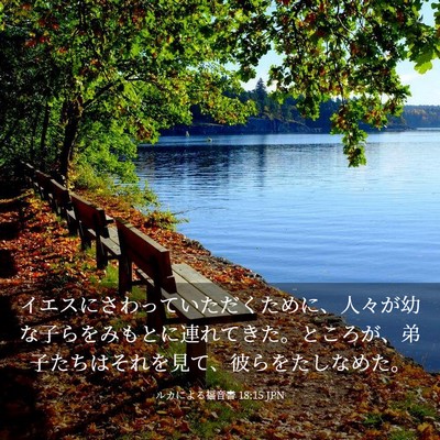 Picture 03 - ルカによる福音書 18:15 JPN - イエスにさわっていただくために、 - Bible Verse Picture