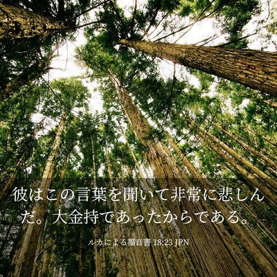 Picture 03 - ルカによる福音書 18:23 JPN - 彼はこの言葉を聞いて非常に悲しん - Bible Verse Picture
