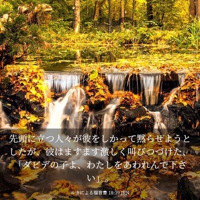 Picture 03 - ルカによる福音書 18:39 JPN - 先頭に立つ人々が彼をしかって黙ら - Bible Verse Picture