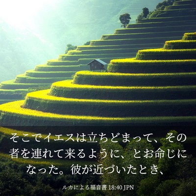 Picture 03 - ルカによる福音書 18:40 JPN - そこでイエスは立ちどまって、その - Bible Verse Picture