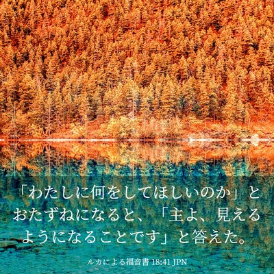 Picture 03 - ルカによる福音書 18:41 JPN - 「わたしに何をしてほしいのか」と - Bible Verse Picture