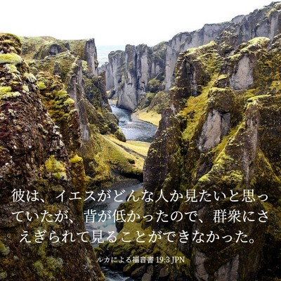 Picture 03 - ルカによる福音書 19:3 JPN - 彼は、イエスがどんな人か見たいと - Bible Verse Picture