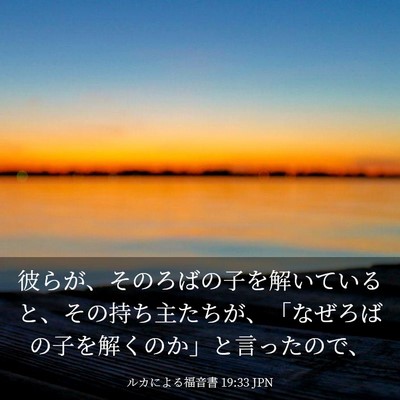 Picture 03 - ルカによる福音書 19:33 JPN - 彼らが、そのろばの子を解いている - Bible Verse Picture