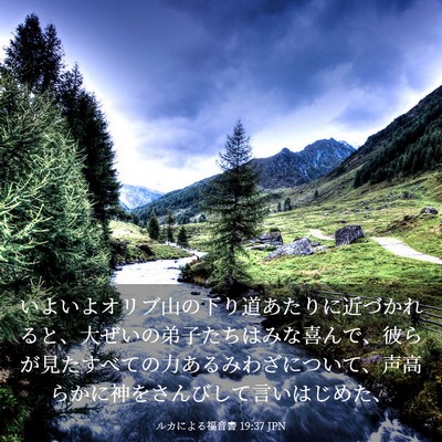 Picture 03 - ルカによる福音書 19:37 JPN - いよいよオリブ山の下り道あたりに - Bible Verse Picture