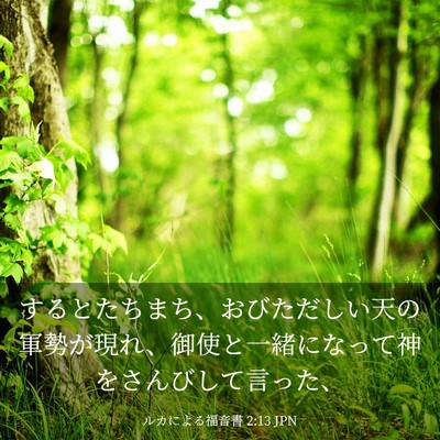 Picture 03 - ルカによる福音書 2:13 JPN - するとたちまち、おびただしい天の - Bible Verse Picture