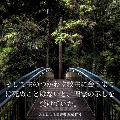 Picture 03 - ルカによる福音書 2:26 JPN - そして主のつかわす救主に会うまで - Bible Verse Picture