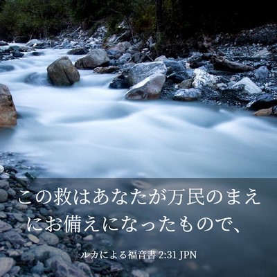Picture 03 - ルカによる福音書 2:31 JPN - この救はあなたが万民のまえにお備 - Bible Verse Picture