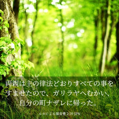 Picture 03 - ルカによる福音書 2:39 JPN - 両親は主の律法どおりすべての事を - Bible Verse Picture