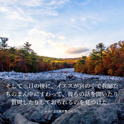 Picture 03 - ルカによる福音書 2:46 JPN - そして三日の後に、イエスが宮の中 - Bible Verse Picture