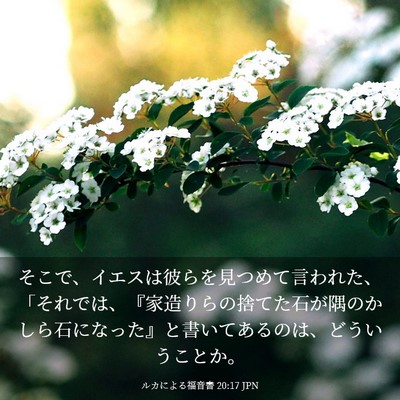 Picture 03 - ルカによる福音書 20:17 JPN - そこで、イエスは彼らを見つめて言 - Bible Verse Picture