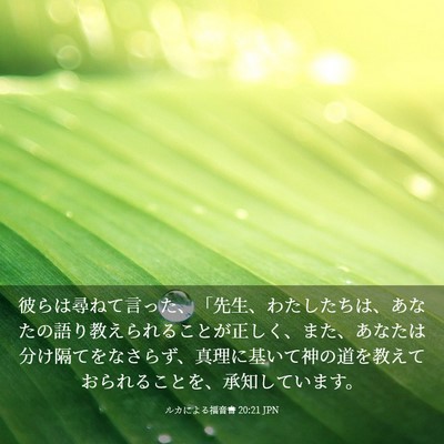Picture 03 - ルカによる福音書 20:21 JPN - 彼らは尋ねて言った、「先生、わた - Bible Verse Picture