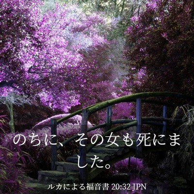Picture 03 - ルカによる福音書 20:32 JPN - のちに、その女も死にました。 - Bible Verse Picture