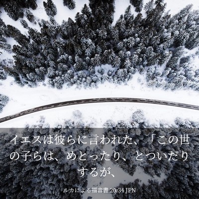 Picture 03 - ルカによる福音書 20:34 JPN - イエスは彼らに言われた、「この世 - Bible Verse Picture