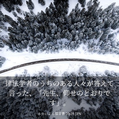 Picture 03 - ルカによる福音書 20:39 JPN - 律法学者のうちのある人々が答えて - Bible Verse Picture
