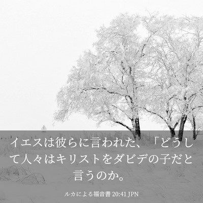 Picture 03 - ルカによる福音書 20:41 JPN - イエスは彼らに言われた、「どうし - Bible Verse Picture