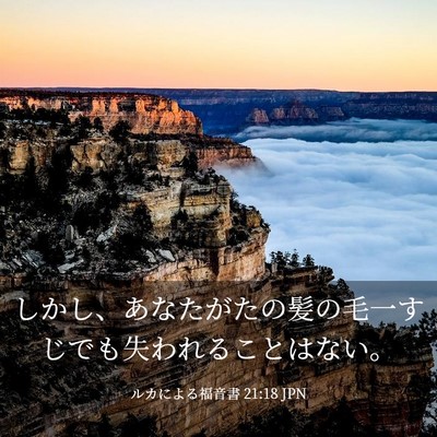 Picture 03 - ルカによる福音書 21:18 JPN - しかし、あなたがたの髪の毛一すじ - Bible Verse Picture