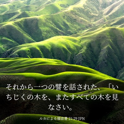 Picture 03 - ルカによる福音書 21:29 JPN - それから一つの譬を話された、「い - Bible Verse Picture