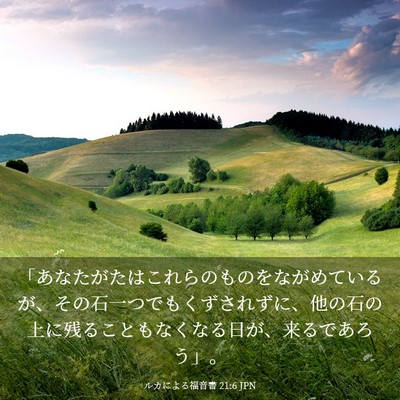 Picture 03 - ルカによる福音書 21:6 JPN - 「あなたがたはこれらのものをなが - Bible Verse Picture