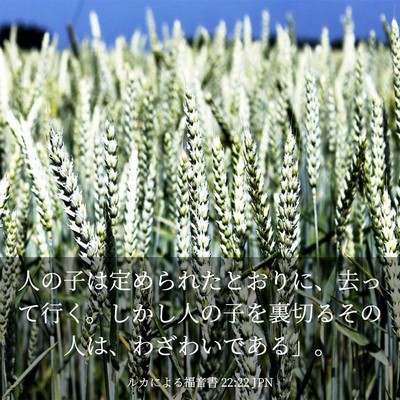 Picture 03 - ルカによる福音書 22:22 JPN - 人の子は定められたとおりに、去っ - Bible Verse Picture