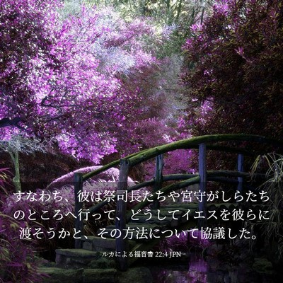 Picture 03 - ルカによる福音書 22:4 JPN - すなわち、彼は祭司長たちや宮守が - Bible Verse Picture