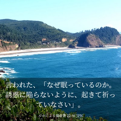 Picture 03 - ルカによる福音書 22:46 JPN - 言われた、「なぜ眠っているのか。 - Bible Verse Picture