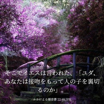 Picture 03 - ルカによる福音書 22:48 JPN - そこでイエスは言われた、「ユダ、 - Bible Verse Picture