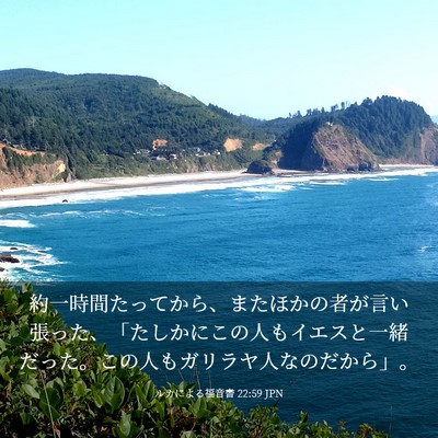 Picture 03 - ルカによる福音書 22:59 JPN - 約一時間たってから、またほかの者 - Bible Verse Picture