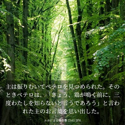Picture 03 - ルカによる福音書 22:61 JPN - 主は振りむいてペテロを見つめられ - Bible Verse Picture