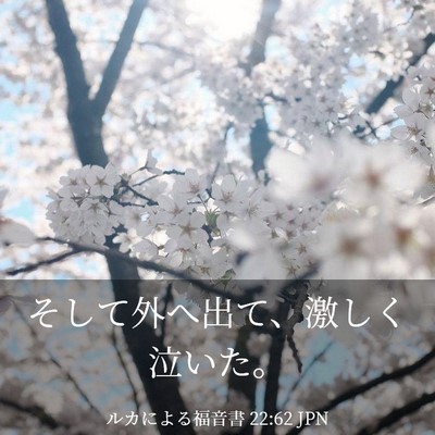Picture 03 - ルカによる福音書 22:62 JPN - そして外へ出て、激しく泣いた。 - Bible Verse Picture
