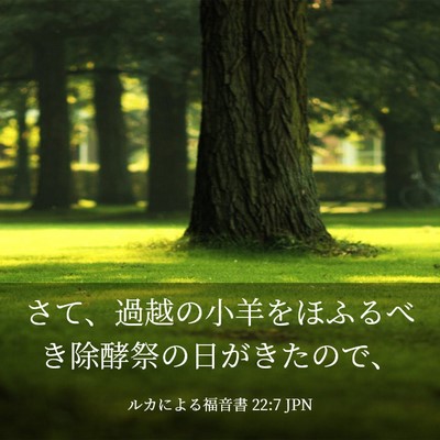 Picture 03 - ルカによる福音書 22:7 JPN - さて、過越の小羊をほふるべき除酵 - Bible Verse Picture