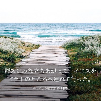 Picture 03 - ルカによる福音書 23:1 JPN - 群衆はみな立ちあがって、イエスを - Bible Verse Picture