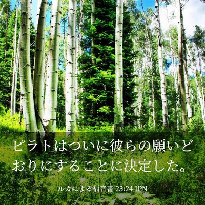 Picture 03 - ルカによる福音書 23:24 JPN - ピラトはついに彼らの願いどおりに - Bible Verse Picture