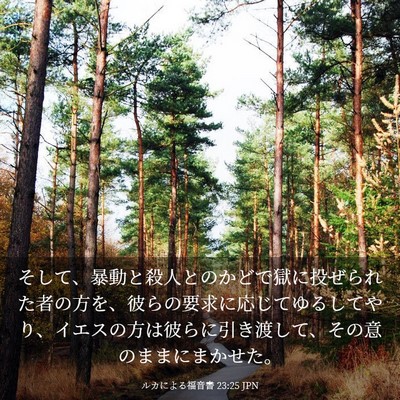 Picture 03 - ルカによる福音書 23:25 JPN - そして、暴動と殺人とのかどで獄に - Bible Verse Picture