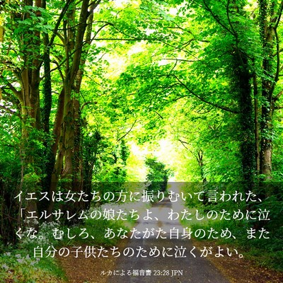 Picture 03 - ルカによる福音書 23:28 JPN - イエスは女たちの方に振りむいて言 - Bible Verse Picture