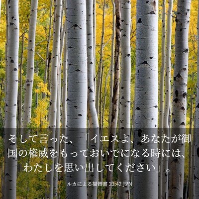 Picture 03 - ルカによる福音書 23:42 JPN - そして言った、「イエスよ、あなた - Bible Verse Picture