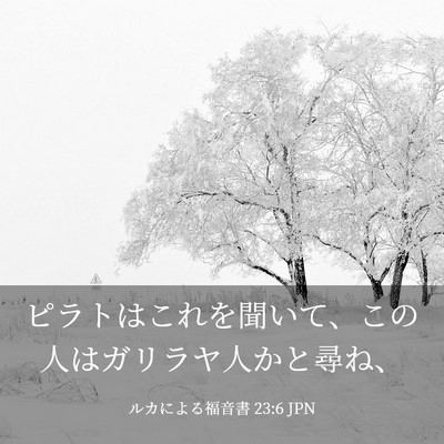 Picture 03 - ルカによる福音書 23:6 JPN - ピラトはこれを聞いて、この人はガ - Bible Verse Picture