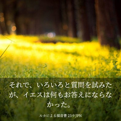 Picture 03 - ルカによる福音書 23:9 JPN - それで、いろいろと質問を試みたが - Bible Verse Picture