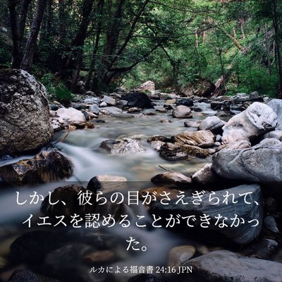 Picture 03 - ルカによる福音書 24:16 JPN - しかし、彼らの目がさえぎられて、 - Bible Verse Picture