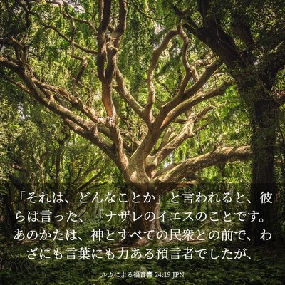 Picture 03 - ルカによる福音書 24:19 JPN - 「それは、どんなことか」と言われ - Bible Verse Picture