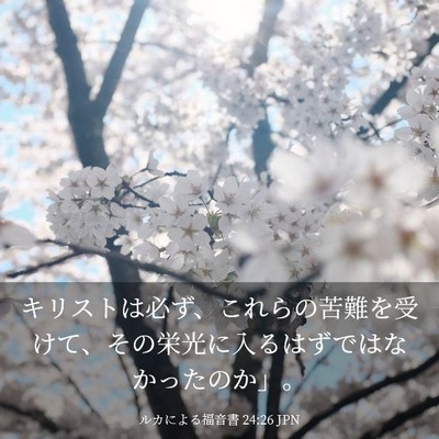 Picture 03 - ルカによる福音書 24:26 JPN - キリストは必ず、これらの苦難を受 - Bible Verse Picture