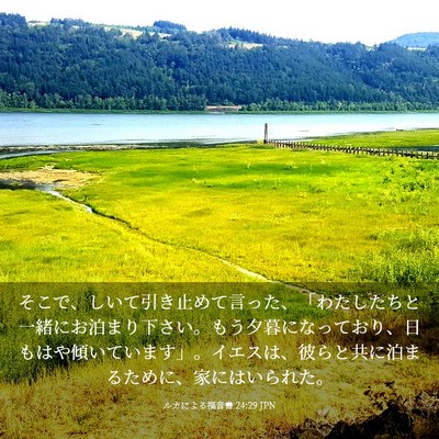 Picture 03 - ルカによる福音書 24:29 JPN - そこで、しいて引き止めて言った、 - Bible Verse Picture