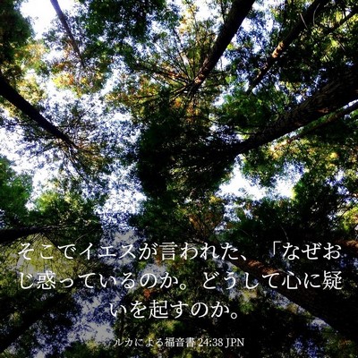 Picture 03 - ルカによる福音書 24:38 JPN - そこでイエスが言われた、「なぜお - Bible Verse Picture