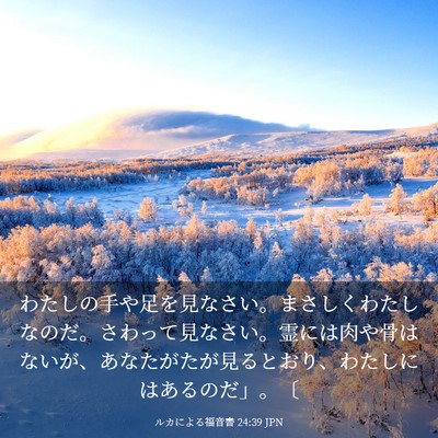 Picture 03 - ルカによる福音書 24:39 JPN - わたしの手や足を見なさい。まさし - Bible Verse Picture